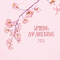 Springy Sensations