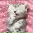 Sqwr