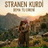 Stranen Kurdi