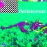 Настоящий Кип