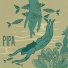Pipa
