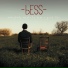 bess