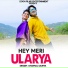 Dhanraj Saurya