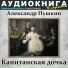 Аудиокнига в кармане, Максим Доронин