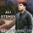 ALI Otenov