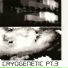 Cryogenetic