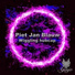 Piet Jan Blauw