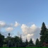 mėlyna