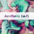 Aesthetic Rendition