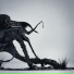 Leese