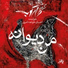 Ehsan Khajeamiri feat. Darkoob Band
