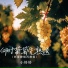 小铃铃
