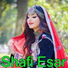 Shafi Esar
