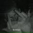 makeinsilence