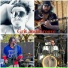 Grit and Groove