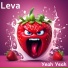 Leva