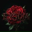 OMNIA 369 feat. fauwy6