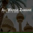 Ali Hamza