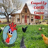 The Liquid Chicken Project