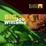Big Joe Williams