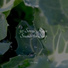 Nature Sounds Radio, Reiki Music, Natureza