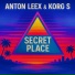 Anton Leex, Korg S