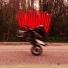 DOLF