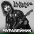 МирИмиР