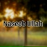 Naseeb ullah Hasand