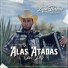Lupe Borbon y su Blindaje 7