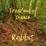 rabbitmusic