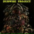Dubwise Project
