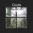 Cicola