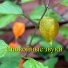 Красивая оркестровая классическая музыка
