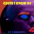 dj vanbasten