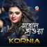 Kornia
