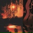Nakani