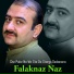 Falaknaz Naz