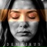 Denairus