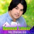Hameed Zaheer