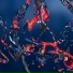 Octo Octa