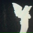 Lafix