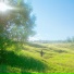 ImBoga
