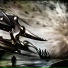 dmage