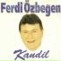 Ferdi Özbeğen