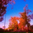 Pastel City