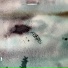Wounded Wolf