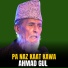 Ahmad Gul
