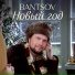 Bantsov