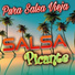 Dj Salsero